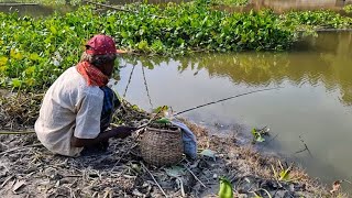 কাজীরহাট নদীতে টেংরা মাছধরা 🎣🎣 আক্কাস মামার মাছধরা ভিডিও 🐟🎣 fishing video fishing hookfishing [upl. by Erbes]