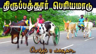 சிவகங்கை மாவட்டம் திருப்பத்தூர் பெரியமாடு03122023 [upl. by Lilias799]