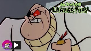 Dexters Laboratory  Photo Finish  Cartoon Network [upl. by Airdnazxela603]