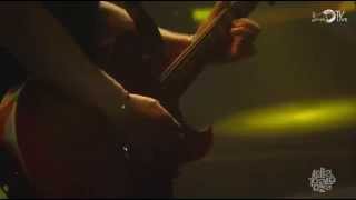 Kings of Leon  Mollys Chambers Live  Lollapalooza 2014 [upl. by Dry]