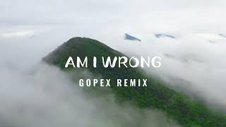 AM I WRONG  REMIX 2024 [upl. by Carbo]