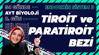 8 Tiroit ve Paratiroit Bezi  Endokrin Sistem  11 Sınıf Biyoloji  2024 AYT Biyoloji Kampı 8 Gün [upl. by Clova]