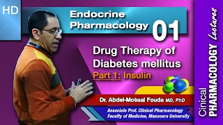 Endocrine Pharmacology Ar  01  Diabetes mellitus  Part 1 Insulin [upl. by Alyehs]