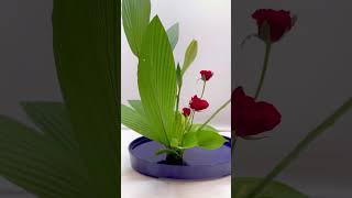 【插花】日本池坊華道盛花直態第三型鐵炮百合、玫瑰、龍舟葉 ikebana ikenobo flowers florist いけのぼ いけばな 池坊 插花 花藝 [upl. by Marla]