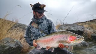 Fly Fishing Mega Trout on Worlds Best Trophy Trout River [upl. by Gold]