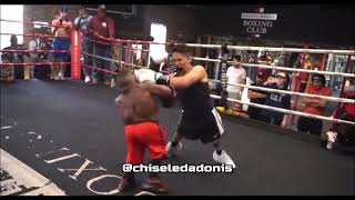 Midget vs Dwarf Boxing  Mini DaBaby Tyson vs Human Tetris Long Limb Thomas [upl. by Lipp730]