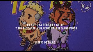 J BALVIN x TOKISCHA  PERRA LetraLyrics [upl. by Showker]