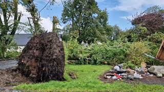 Down the damage path of the Aug 24 2024 small tornado at Klovborg Denmark [upl. by Blum]