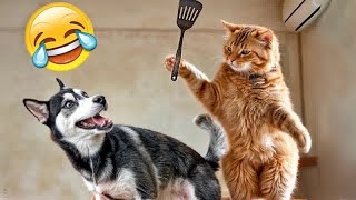 CLASSIC Dog and Cat Videos😻😜1 HOURS of FUNNY Clips👋🐶😎 [upl. by Lecirg]