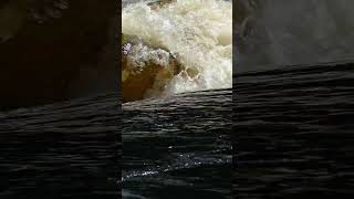 Lower Madawaska Scare canoecamping whitewater adventure camping backcountry rapids [upl. by Files]