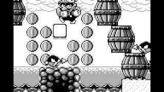 Super Mario Land 3 Wario Land TAS by Greenalink 292477 [upl. by Hcir]