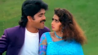 Andama Anduma Video Song  Nagarjuna Sridevi Evergreen Superhit Song  Govinda Govinda Movie Songs [upl. by Notgnilra]