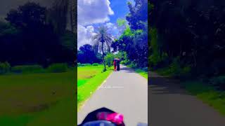 viralvideo foryou fyp funny flowers Amdabad high School RoadJessore 🛣️ [upl. by Kcin328]