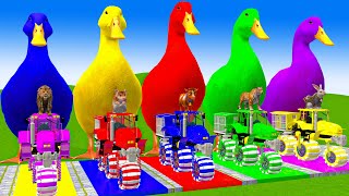 5 Giant Duck CartoonCowMammothLionDogBearTiger Paint Wild Animals Crossing Fountain Animation [upl. by Kazim]