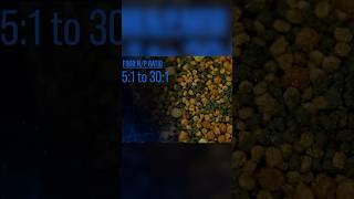 What should nitrate levels be in a reef tank 52se brstv [upl. by Ettesyl]