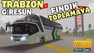 FINDIK TOPLAMAYA GİDİYORUZ  TRABZON  GİRESUN  OTOBÜS SİMULATOR ULTİMATE [upl. by Elumas]