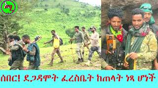 🔴 ሰበር ዜና  ደጋዳሞት ፈረስቤት በፋኖ ቁጥጥር ስር ገባች    አለኝታ ሚዲያ  Alegnta Media [upl. by Adnalram]