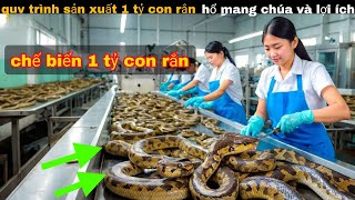 Quy Trình Sản Xuất Chế Biến 1 tỷ Con Rắn Hổ Mang chúa  review giải trí [upl. by Glenine]