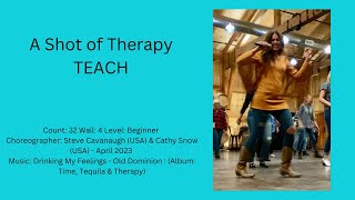 A Shot of TherapyTeach [upl. by Illoh737]