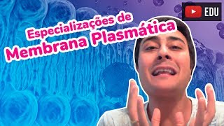 Especializações de Membrana Plasmática  Prof Paulo Jubilut [upl. by Arabrab917]