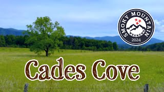 Cades Cove Loop Road [upl. by Kcirdde]