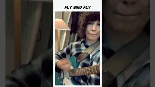 Now fly bird fly into the sea singersongwriter altmusic [upl. by Clarette69]