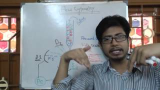 Flow Cytometry [upl. by Morvin]