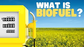 What Is Biofuel  Biomass and biofuels for kids [upl. by Kcirredal]