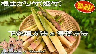 根曲がり竹姫竹､細竹の下処理と保存方法《揚げ物や煮物、焼き物にしても美味しい山菜採りでも人気の細いタケノコ》Preparation of quotHimetakequot [upl. by Gievlos]