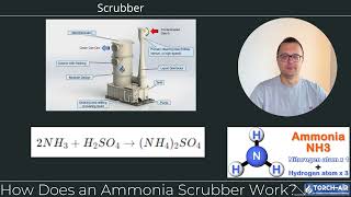 Ammonia Wet Scrubber [upl. by Solakcin954]