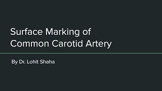 Surface Marking of Common Carotid Artery [upl. by Adnorrehs495]