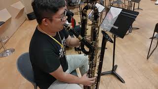 Weber Clarinet Concerto No2 on Contrabass Clarinet [upl. by Sidon]