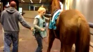 Horse saddling at Woodbine Race Track [upl. by Sweeney]