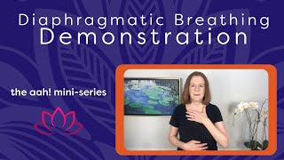 Diaphragmatic Breathing Demonstration [upl. by Etnor825]