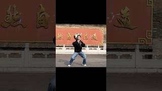 kungfu taichiclass taichi What is the essence of Tai Chi [upl. by Westphal]