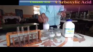 Cinnamic Acid 12th chemistry practical [upl. by Alemac124]