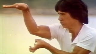 スネーキーモンキー 蛇拳 TV日本語吹き替え版 ジャッキー・チェン（Jackie Chan） [upl. by Nylinej]