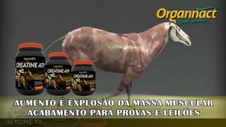 Organnact Saúde Animal [upl. by Avaria563]