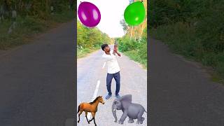 VfxBallon to elephanthorseliontigerfunny comedy viralvideo shortsfeed shorts sagarkumar [upl. by Rainer]