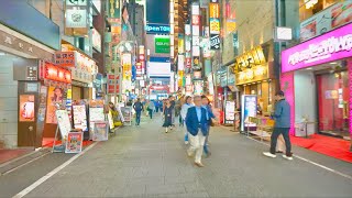 東京新宿「花園神社酉の市」 新宿散歩 Japan Walk 4K 20241105 [upl. by Etiuqal295]