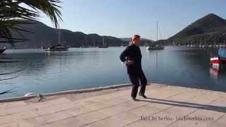 Shibashi Tai Chi Qigong level II set of exercises [upl. by Uehttam653]