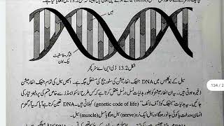 Nucleic AcidsDeoxyribonucleic Acid DNARibonucleic acid RNA in Urdu Class 10 Chemistry Chap 13 [upl. by Wei138]