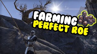 The BEST Perfect Roe Farming Location Elder Scrolls Online Guide PC PS4 Xbox [upl. by Ynnaf506]