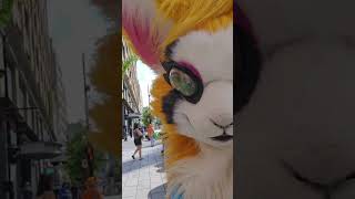 Pharmaprix montreal animeconvention cosplay furry [upl. by Hsemar]