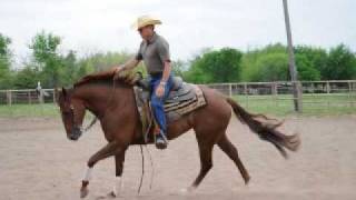 Babcock Ranch  Smart Chic Olena x SR Documentary Filly [upl. by Anni]