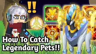 How To Catch Legendary Pets Using Super Ball In Trainers Arena Trainers Arena  Blockman Go [upl. by Grissom]