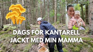 HITTAR VI NÅGRA KANTARELLER vlogg [upl. by Lipski]