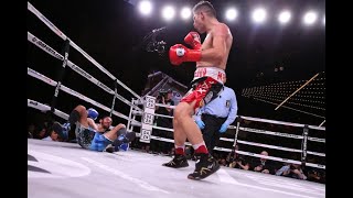 Pablo Cesar Cano vs Jorge Linares  Knockout Highlights 🇲🇽🇻🇪 [upl. by Carolynn]