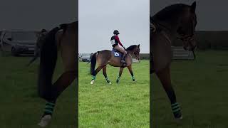 Melton foxhunter warm up 2024 seeyouatthefinishline [upl. by Sallyann]