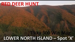 3day Red Deer Hunt  New Zealand [upl. by Ossy]